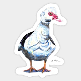 Muscovy Duck Sticker